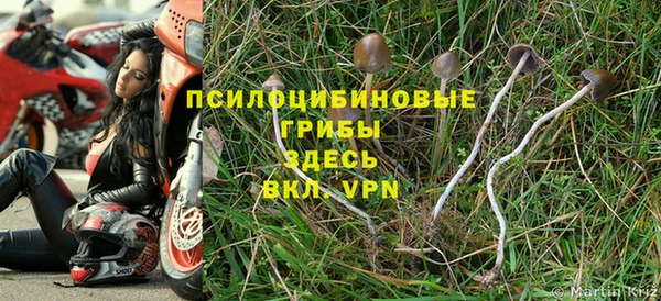 кристаллы Верея